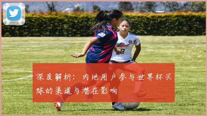 深度解析:内地用户参与世界杯买球的渠道与潜在影响