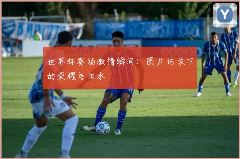 世界杯赛场激情瞬间:图片记录下的荣耀与泪水