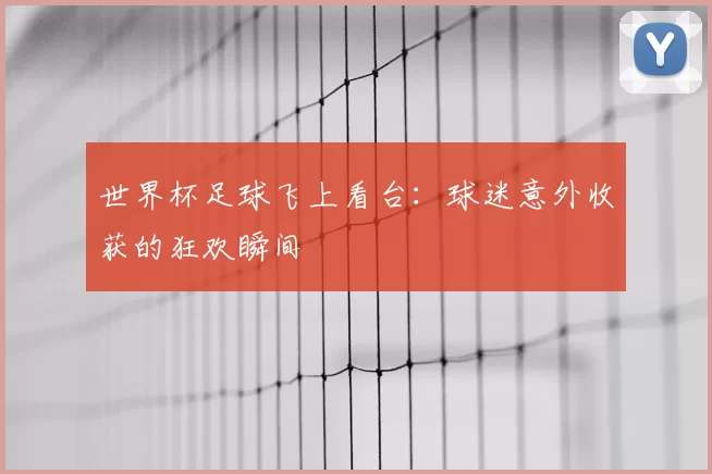 世界杯足球飞上看台：球迷意外收获的狂欢瞬间