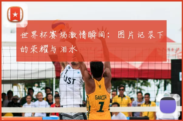 世界杯赛场激情瞬间:图片记录下的荣耀与泪水