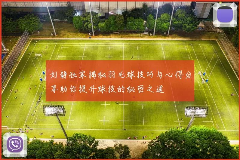 刘静独家揭秘羽毛球技巧与心得分享助你提升球技的秘密之道