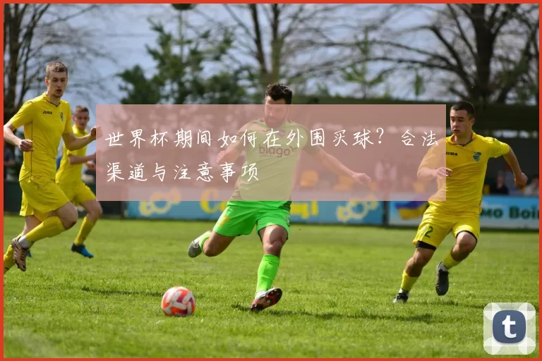 世界杯期间如何在外围买球？合法渠道与注意事项