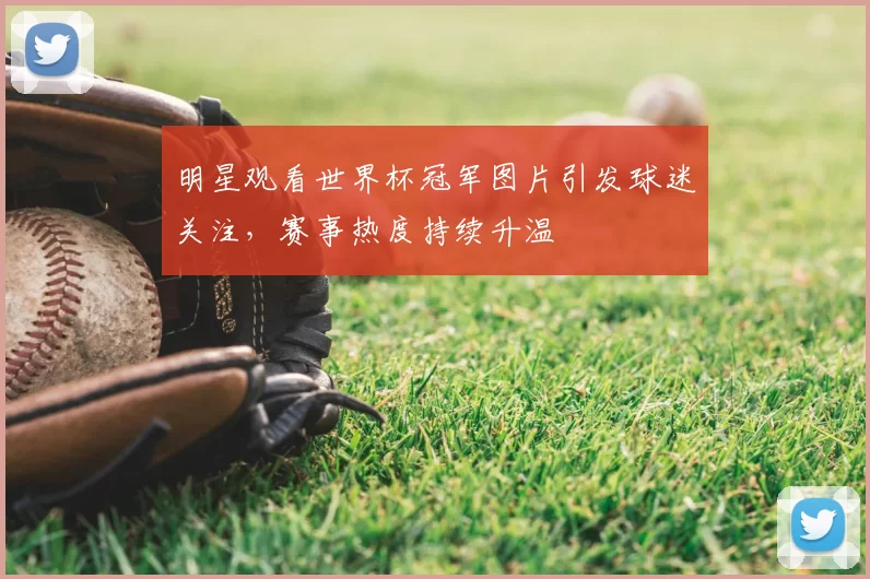 明星观看世界杯冠军图片引发球迷关注,赛事热度持续升温