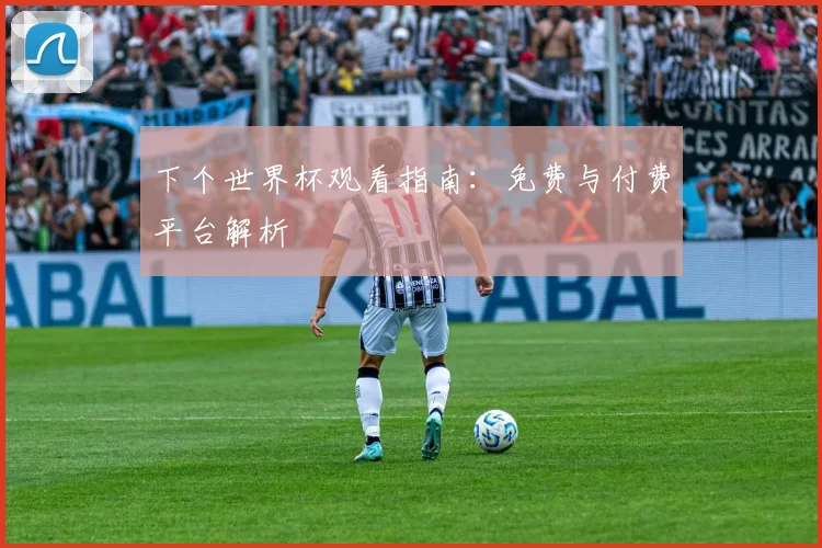 下个世界杯观看指南:免费与付费平台解析