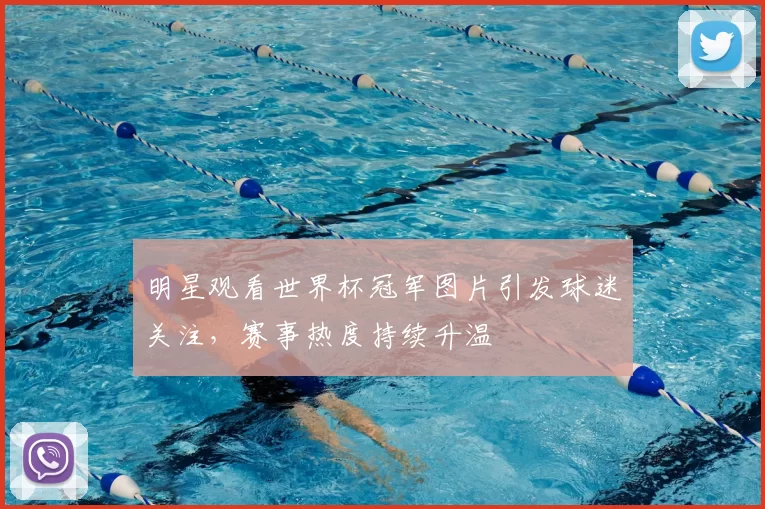 明星观看世界杯冠军图片引发球迷关注,赛事热度持续升温