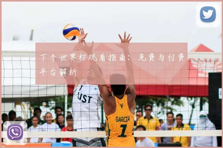 下个世界杯观看指南：免费与付费平台解析